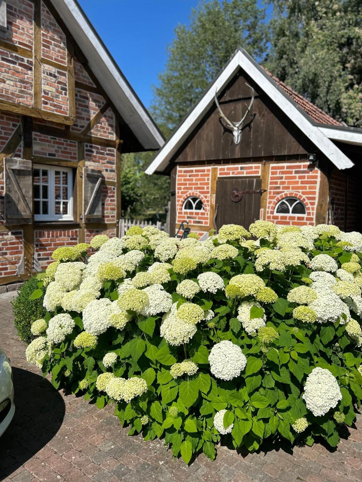 Gemuetliches Fachwerkhaus Am See Mit Kamin Warendorf Exterior foto